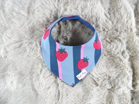 Dregglis - Berry Stripe